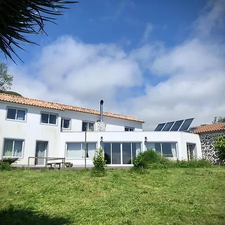 Limao Casa Citrina *