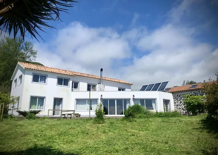 Limao Casa Citrina *